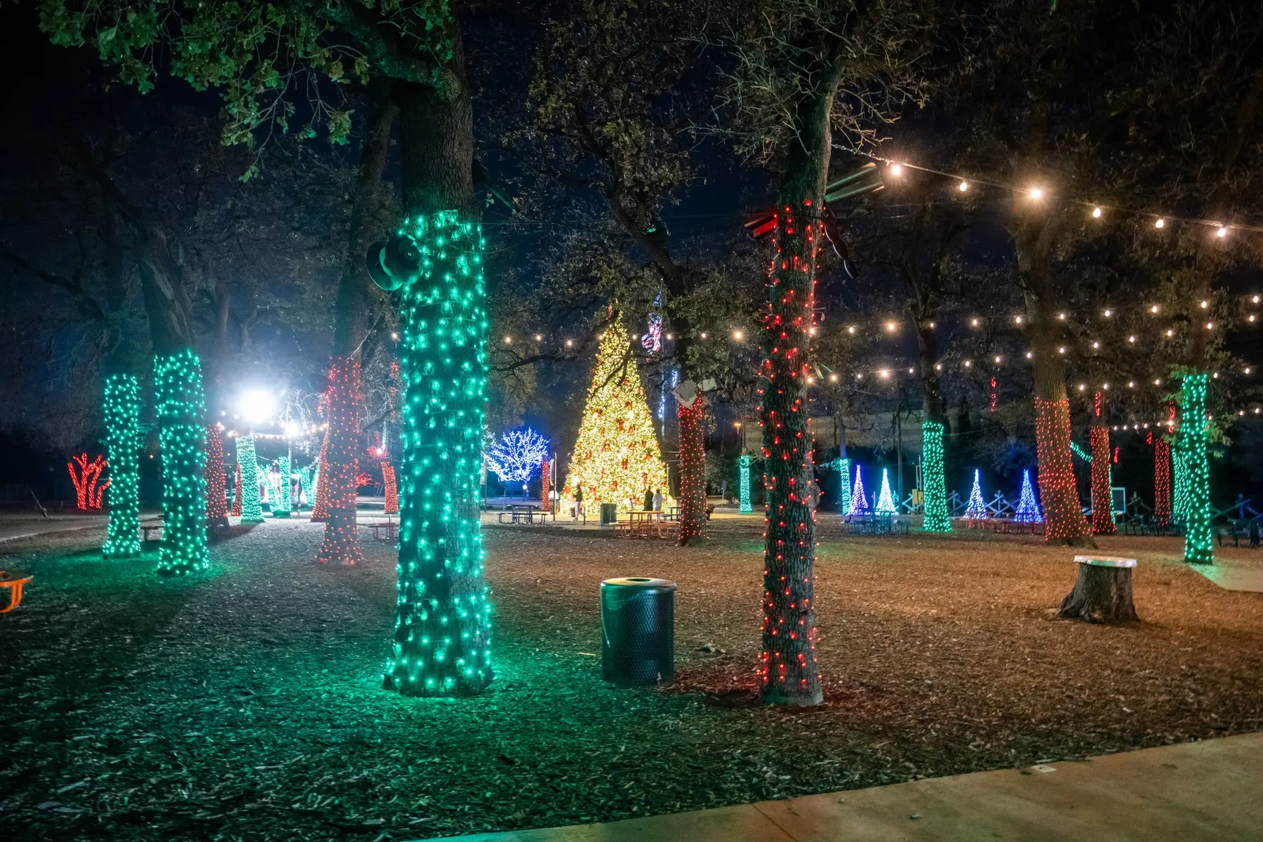 Outdoor holiday display with trees wrapped in green, red and white lights and illuminated cone trees