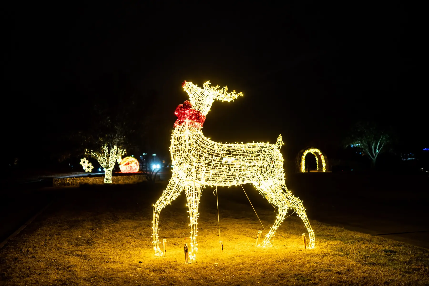 Large illuminated reindeer sculpture in an outdoor holiday display