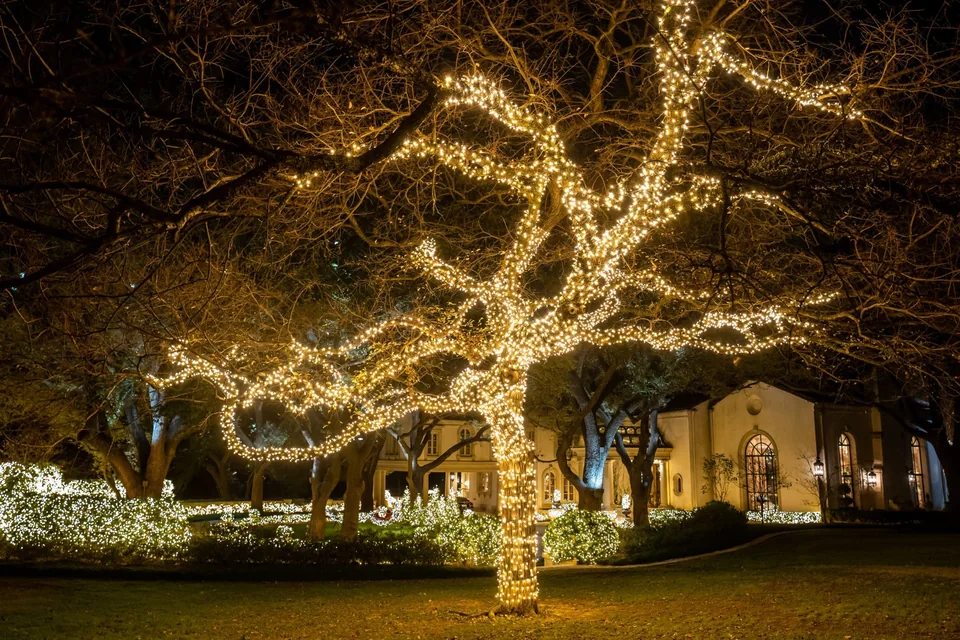 Large Corpus Christi property with trees wrapped in warm white Christmas lights
