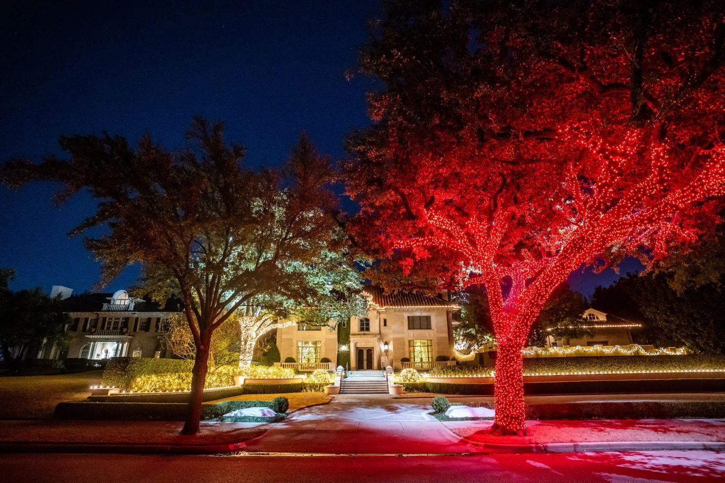 Large holiday-lit tree used as a focal point on a residential property