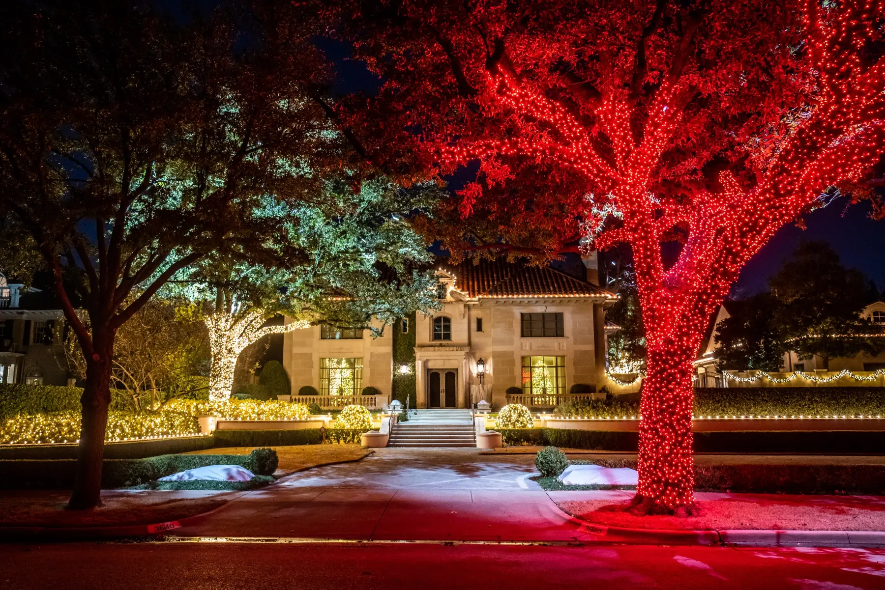 Large front-yard tree illuminated in red with warm white landscape lighting around the home